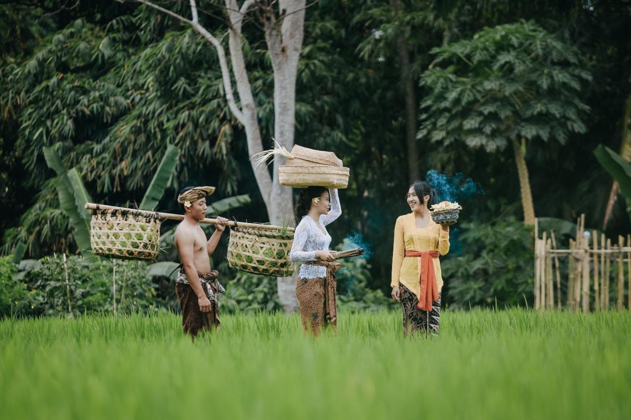 Candy Villa By Pramana Villas Ubud Eksteriør bilde