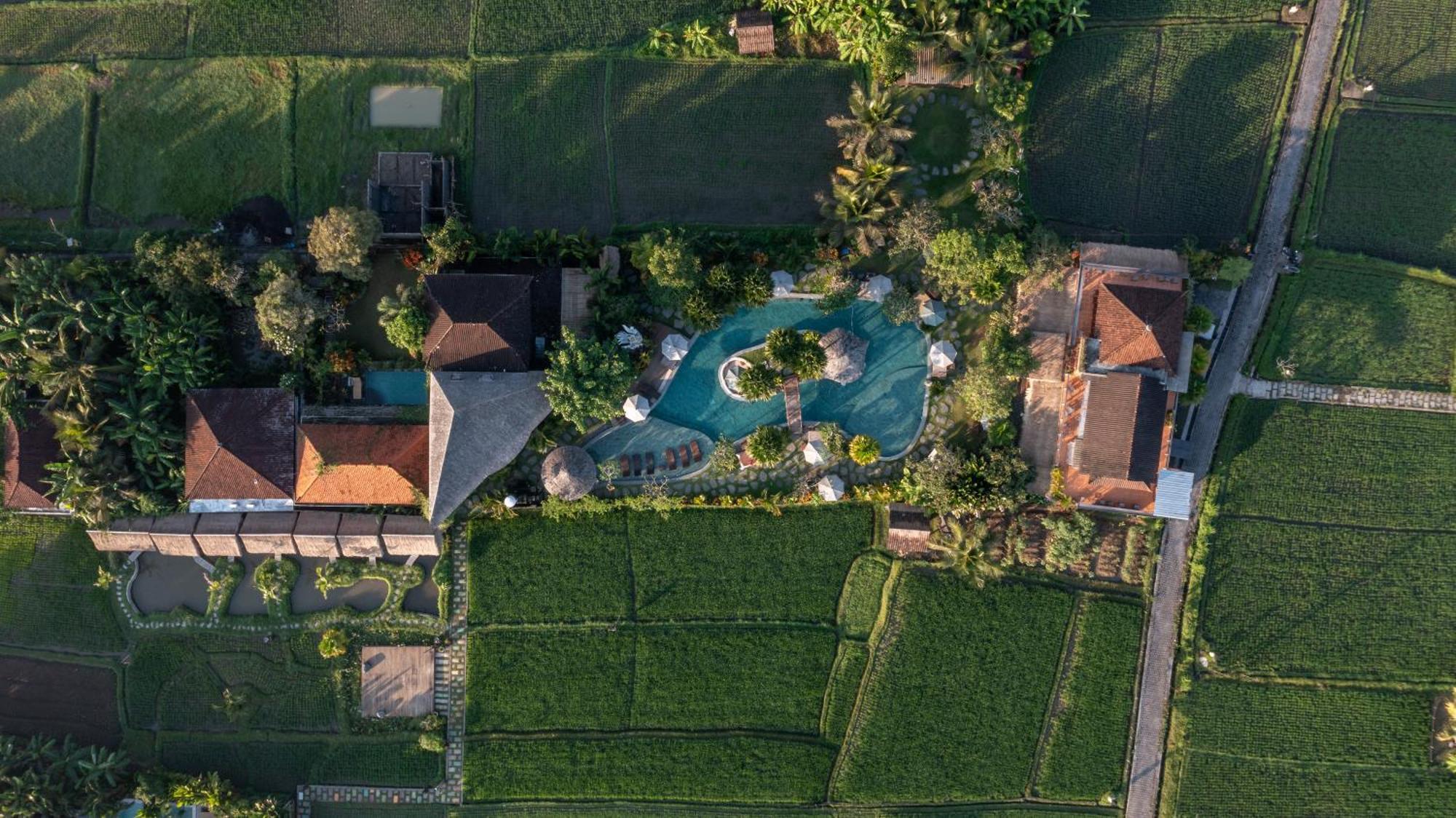 Candy Villa By Pramana Villas Ubud Eksteriør bilde